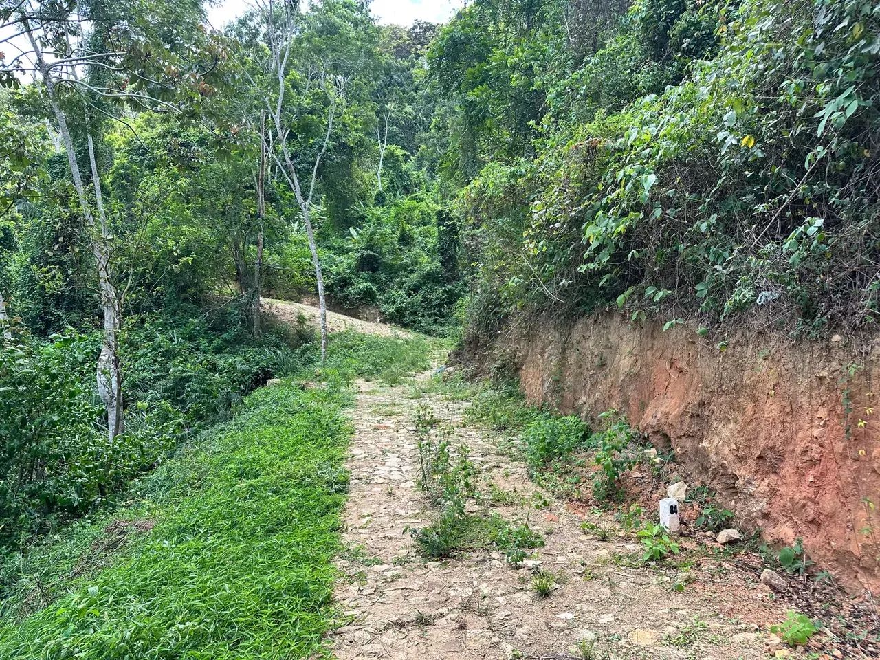 Lotes De 10X30 Na Serra De Pacoti, As Margens Da Ce 065, 3 Minutos Do Centro! Cód. KT58SI - Foto 10