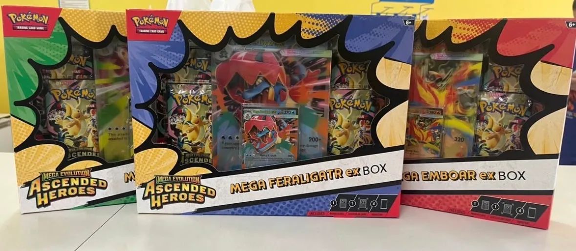 Case 6 box heróis excelsos inglês 