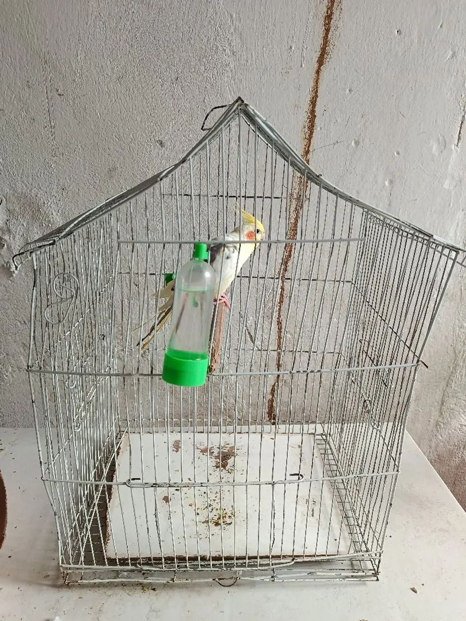 Gaiola de ferro