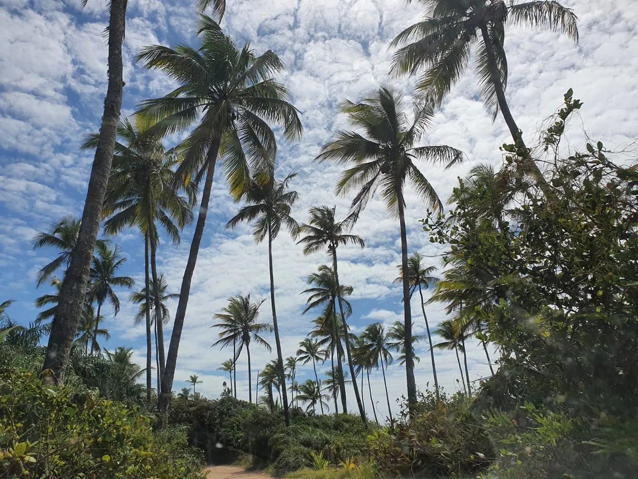 Terreno Praia de Saquaira - Maraú - Foto 2