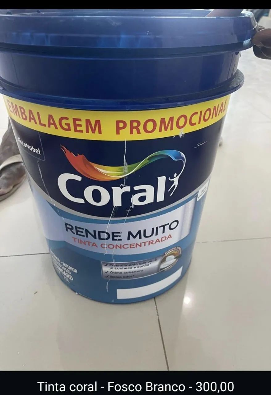 White Ice Paint 18L