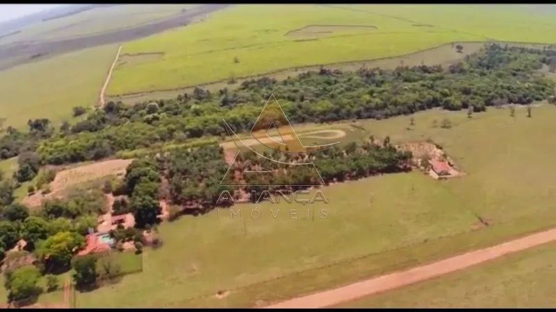 Fazenda - Santa Vitoria - Zona Rural