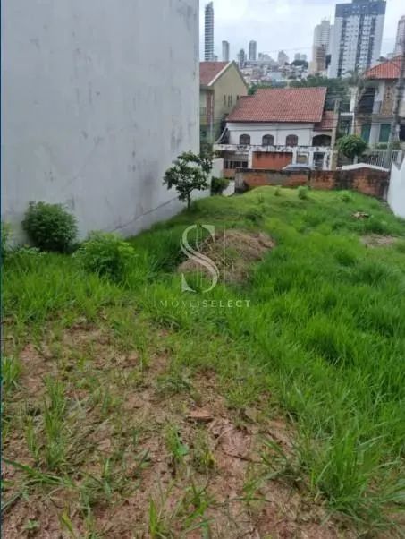 Jardim Textil, Terreno de 300m² com 10x30. - Foto 5