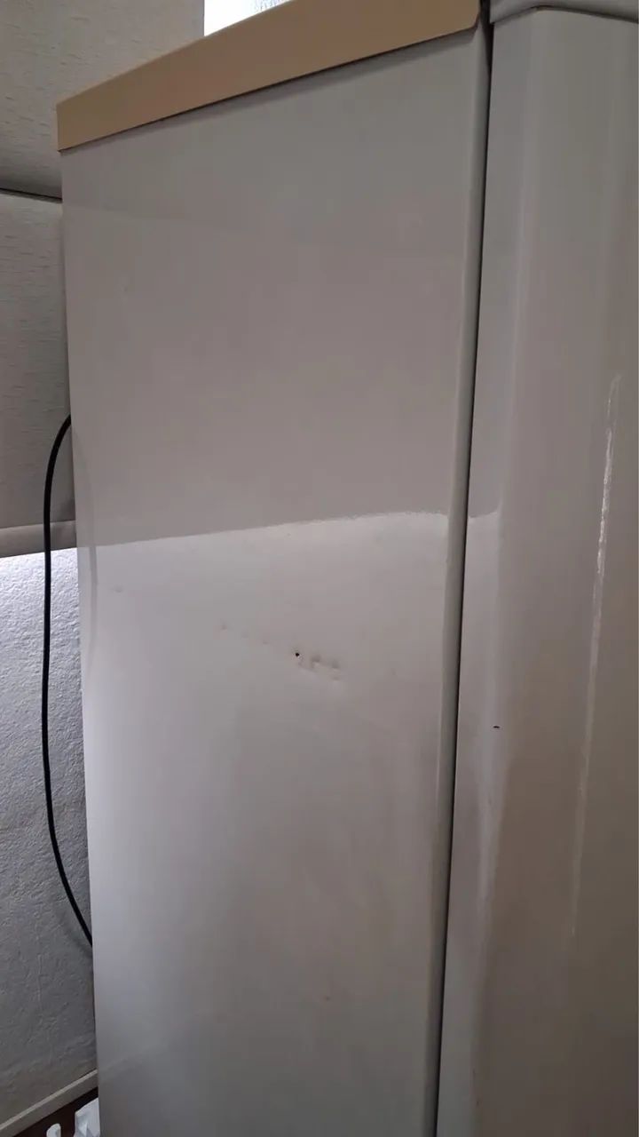 Freezer Eletrolux FÉ 18 + - Foto 4
