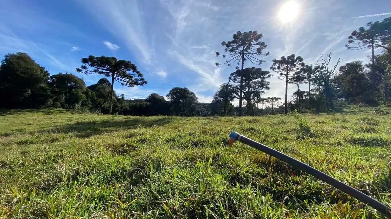 sitio a venda em Urupema - Foto 5