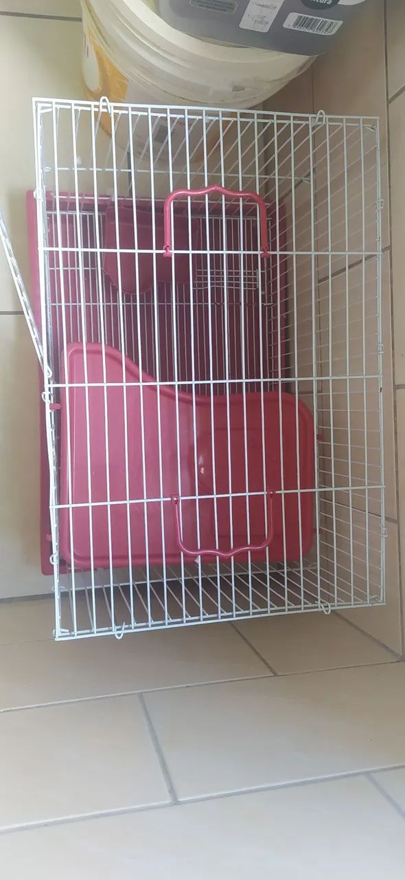 Gaiola Porquinho da Índia, Coelho  - Foto 2