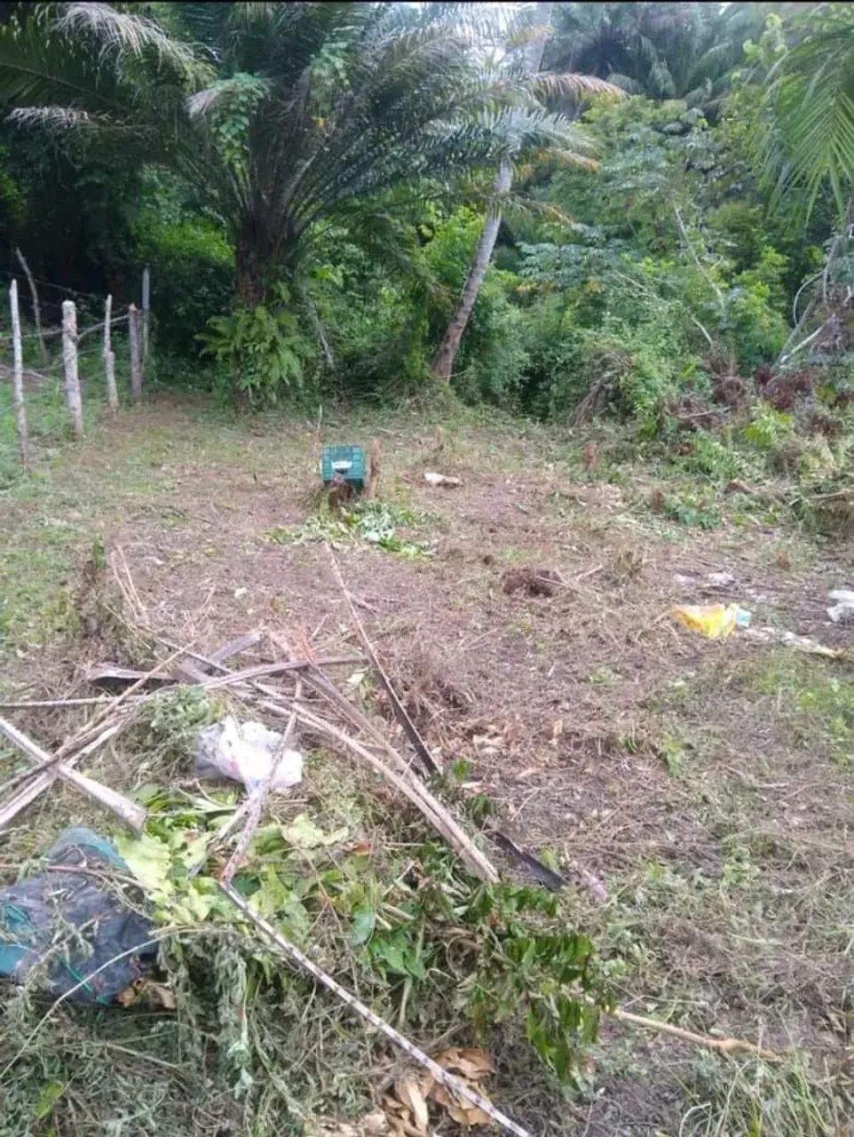 Excelente terreno em ilha de maré praia das neves  - Foto 7