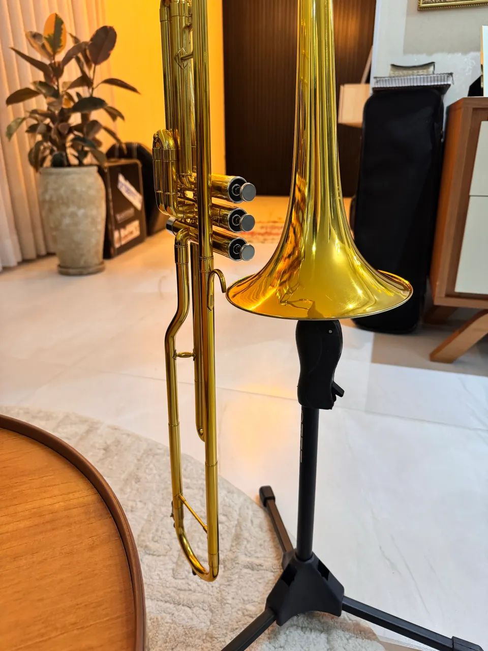Trombone Scavone - Foto 5