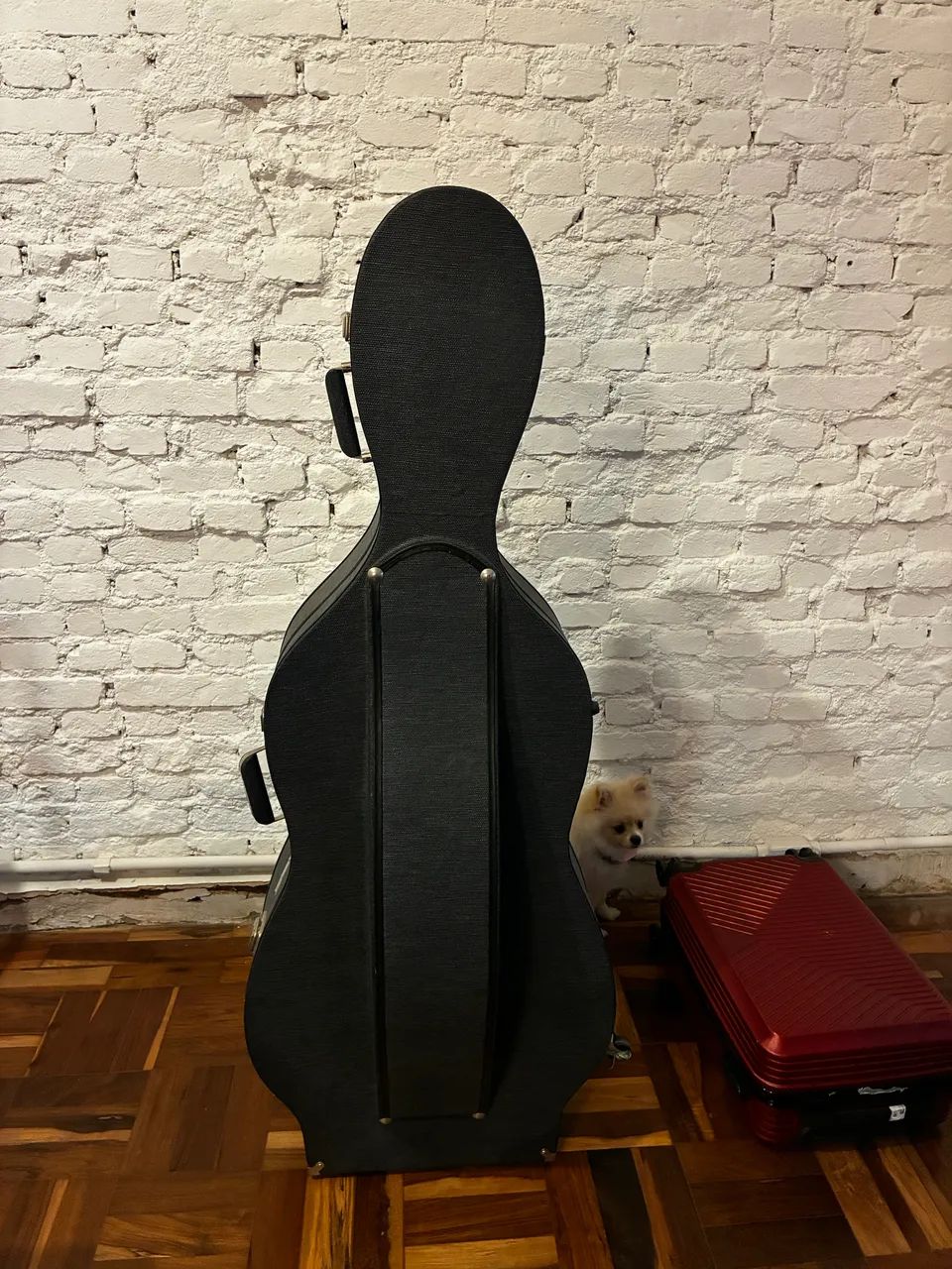Case violoncelo - Foto 3