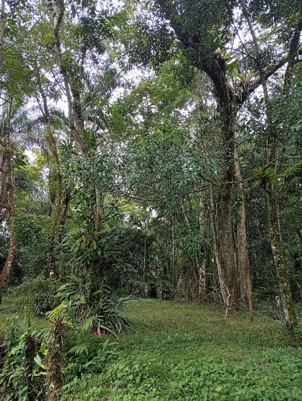 Terreno com edícula Guarau Peruíbe  - Foto 2