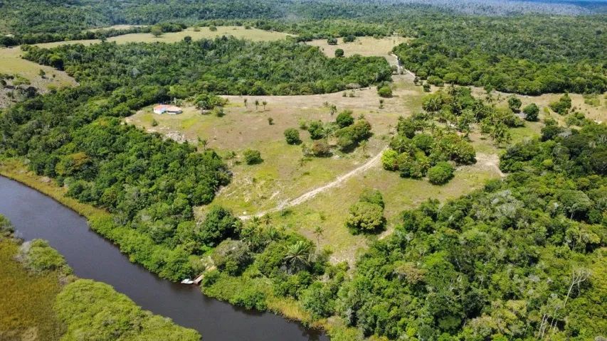 Fazenda 77ha - Foto 5
