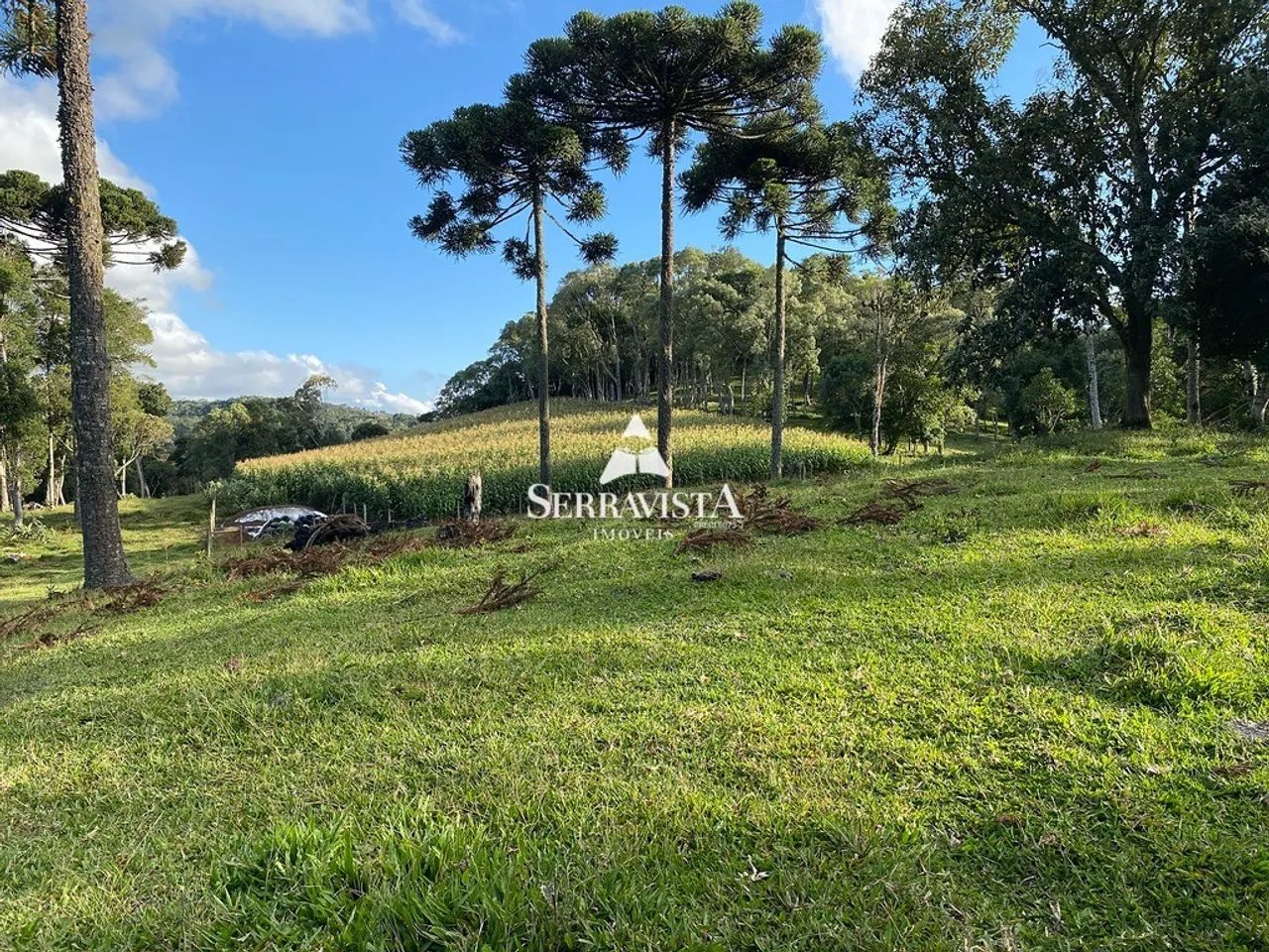 Chácara com pastagem e nascentes - 75.468 m2 - Foto 5