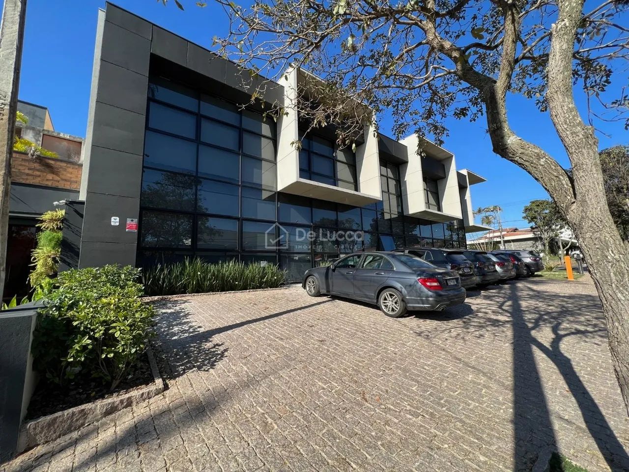 casa - Nova Campinas - Campinas - Foto 5