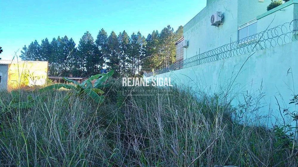 Terreno no Sítio Floresta