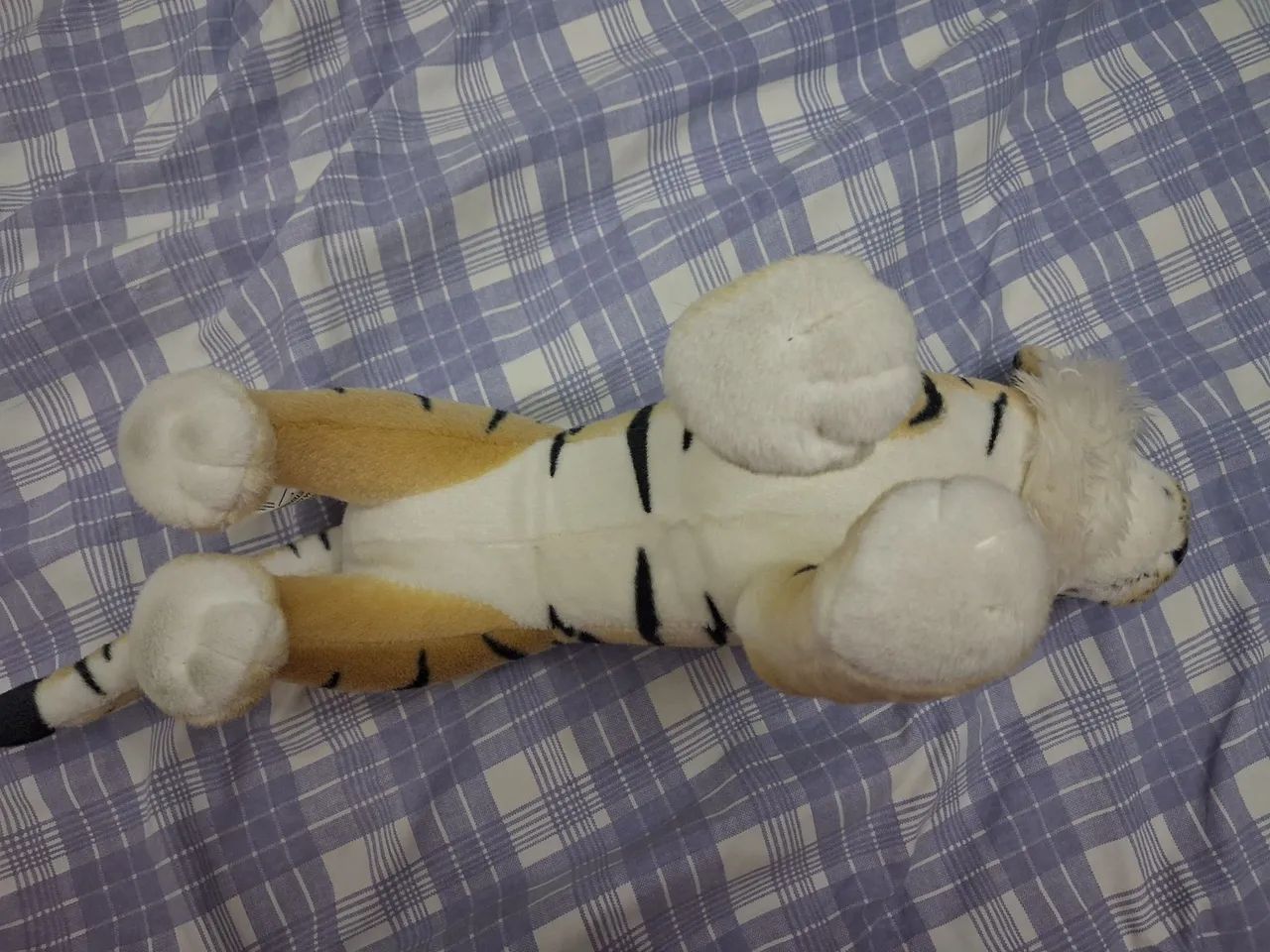 Pelucia - Foto 5