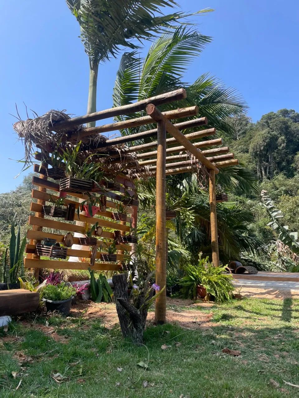 Chácara com pomar, deck toda gramada pronta para instalar seu chalé  - Foto 5