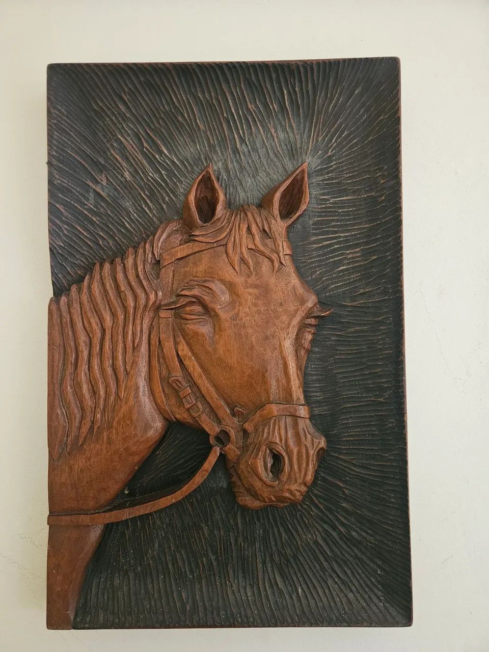 Cabeça de cavalo  - Foto 2