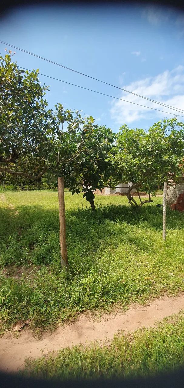 Vende - Terreno  - Foto 4