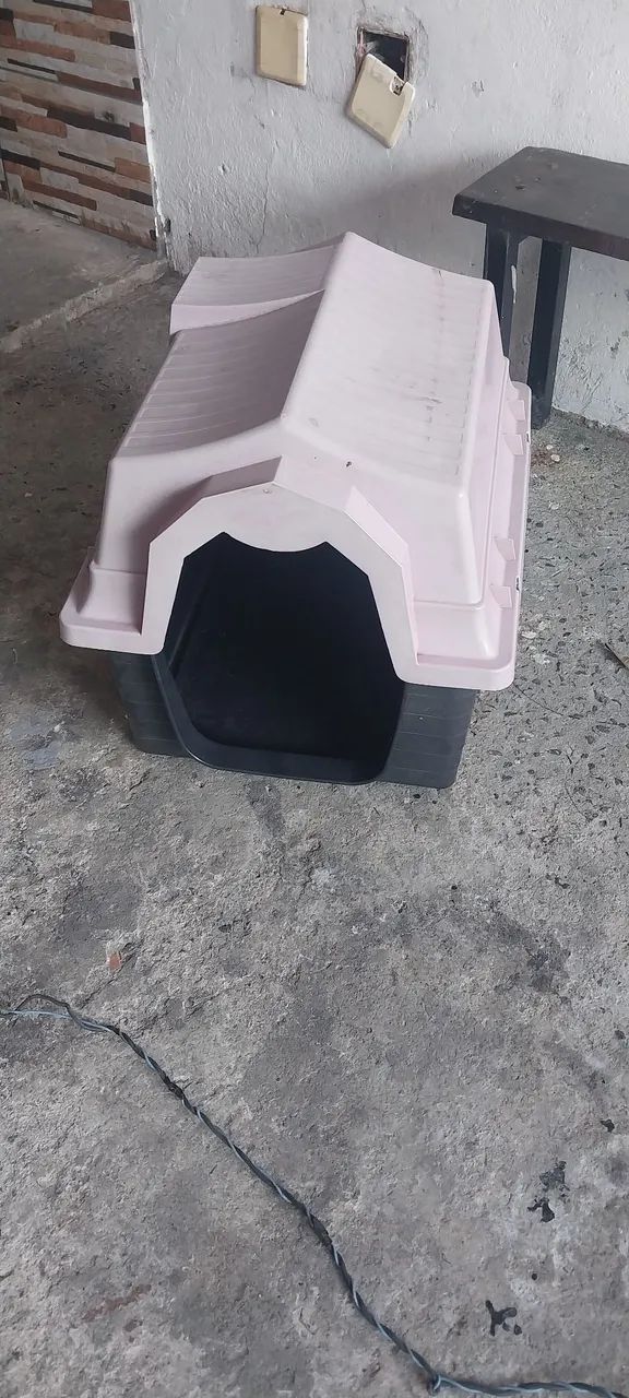 Casa de cachorro n5