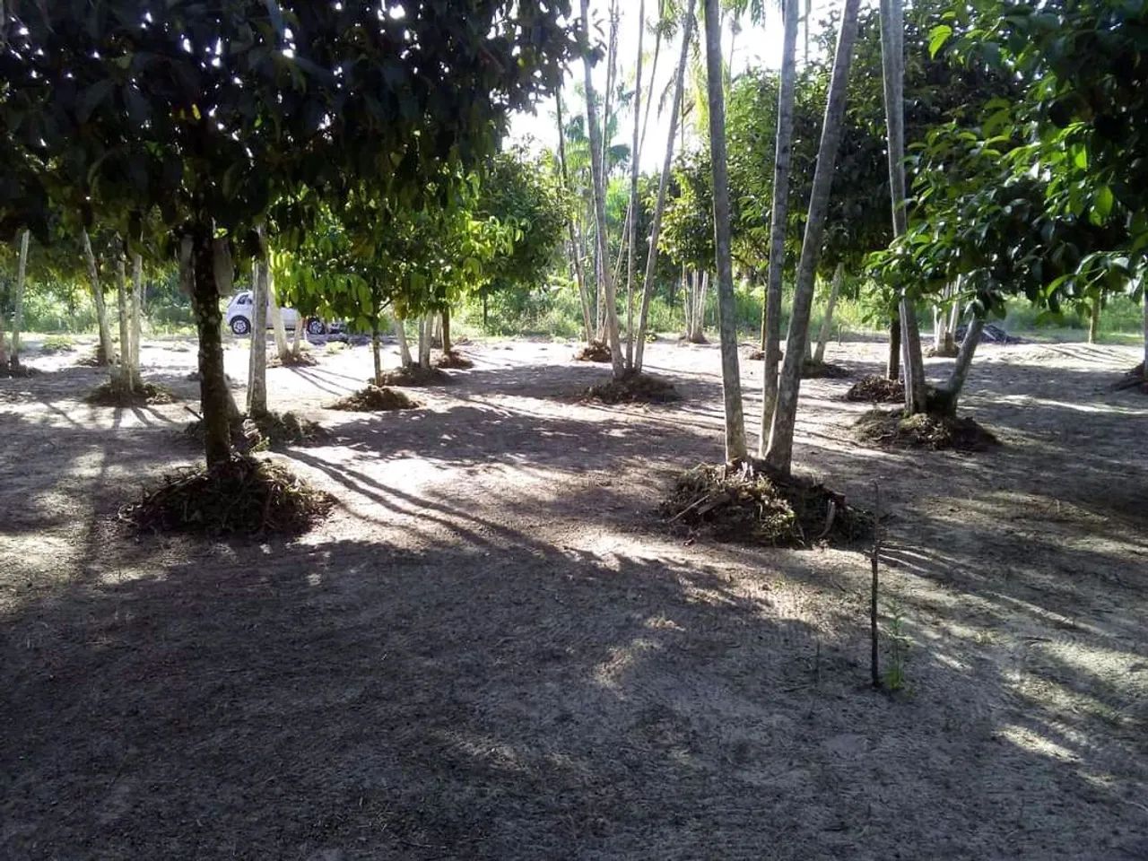 R$12.500,00 Terreno 12x25 mts2 - Foto 5