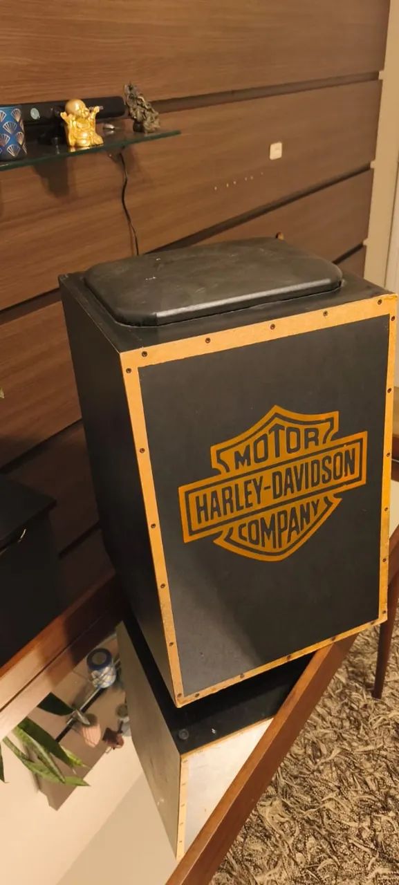 Cajon elétrico