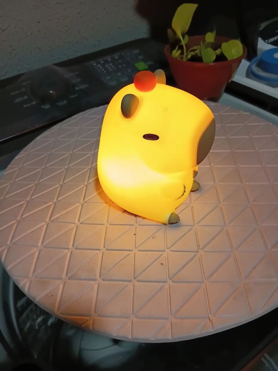 Luminária Capivara - Led Touch Capybara Night Light - Foto 4