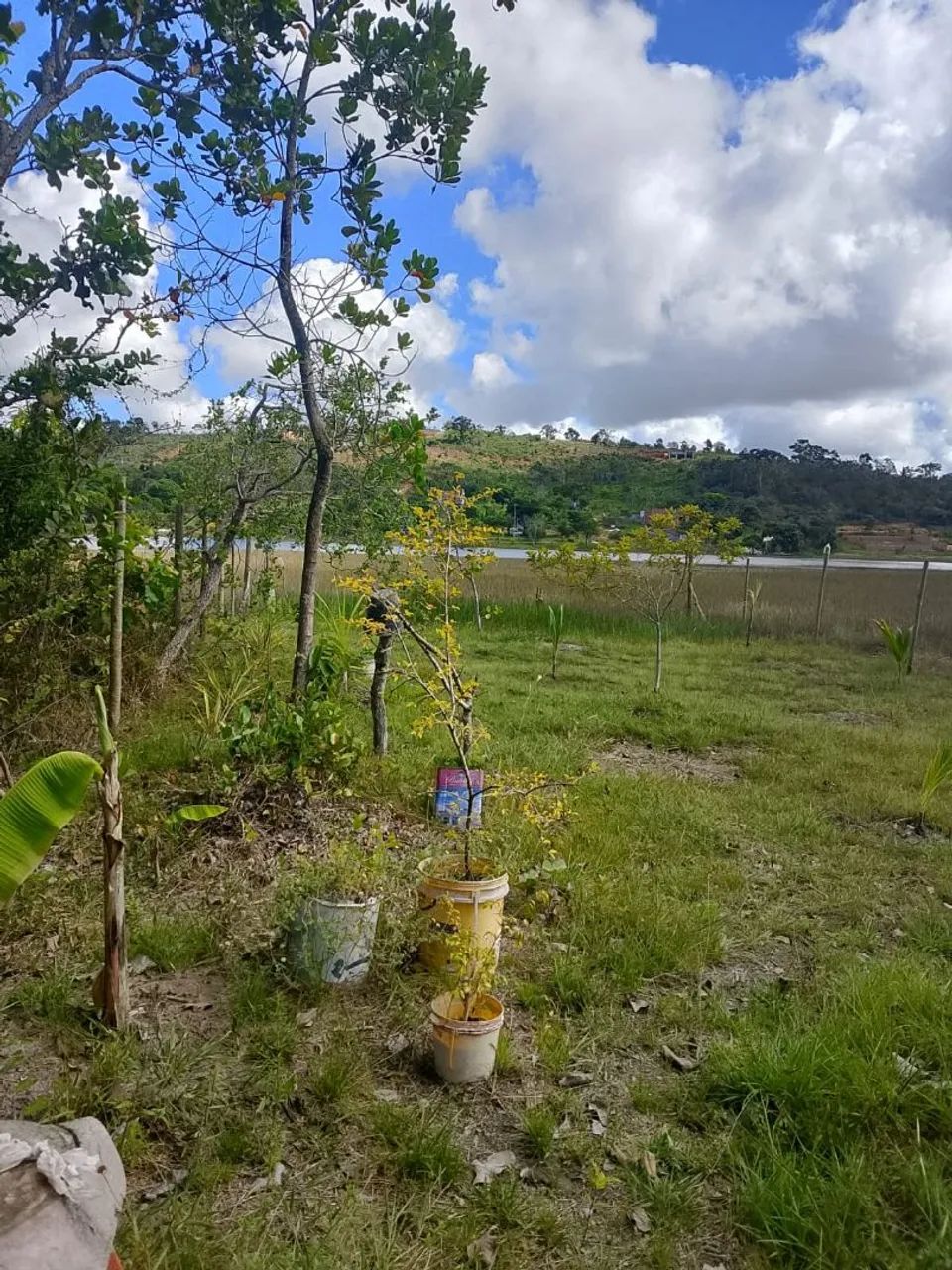 Terreno Camaçari - Foto 3