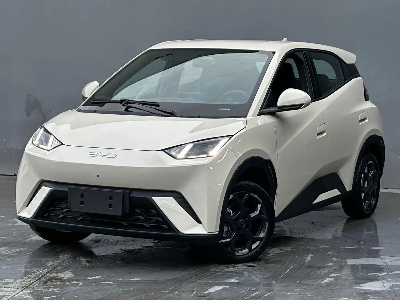 BYD Dolphin EV (Elétrico) 2027 - Foto 2