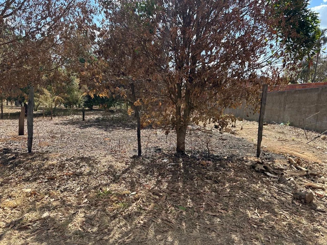 Lote em Aragoiania  - Foto 3