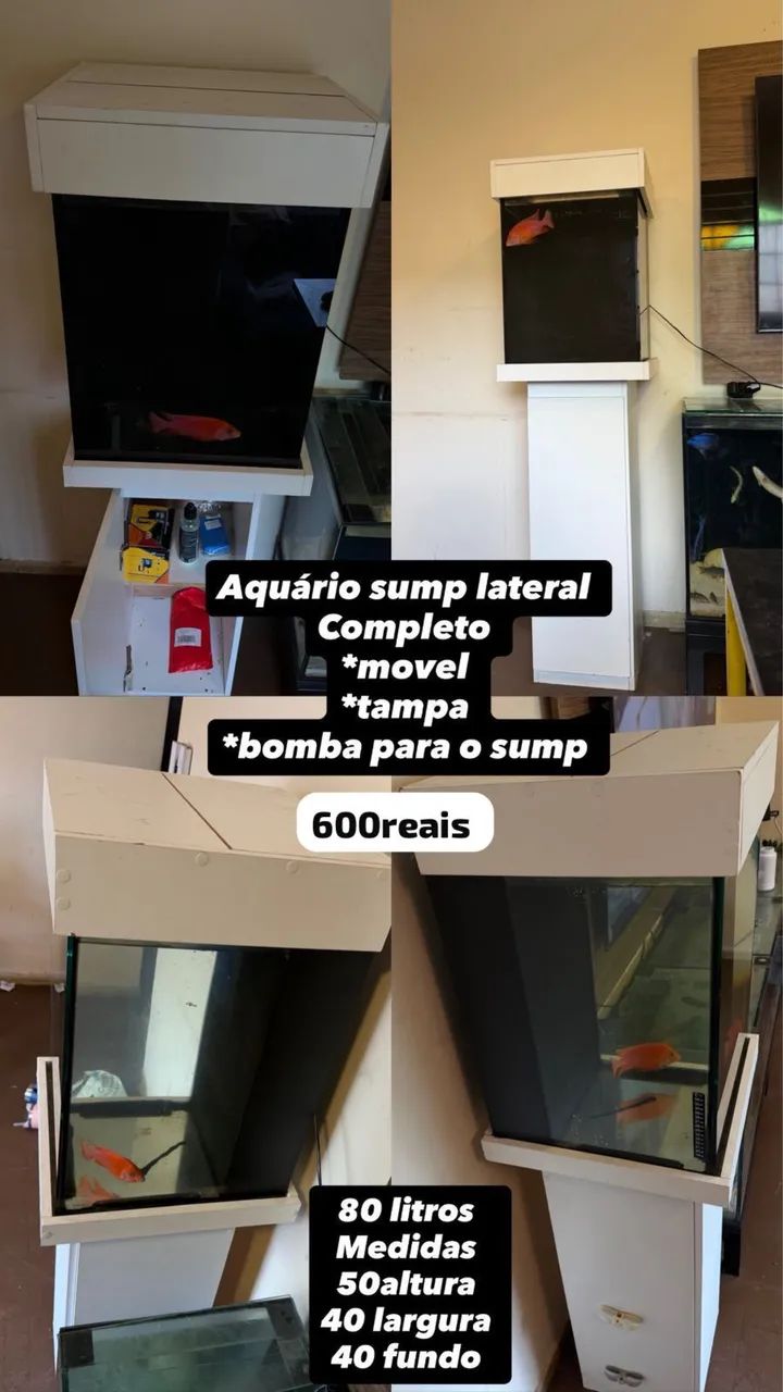 Aquário completo com filtro 