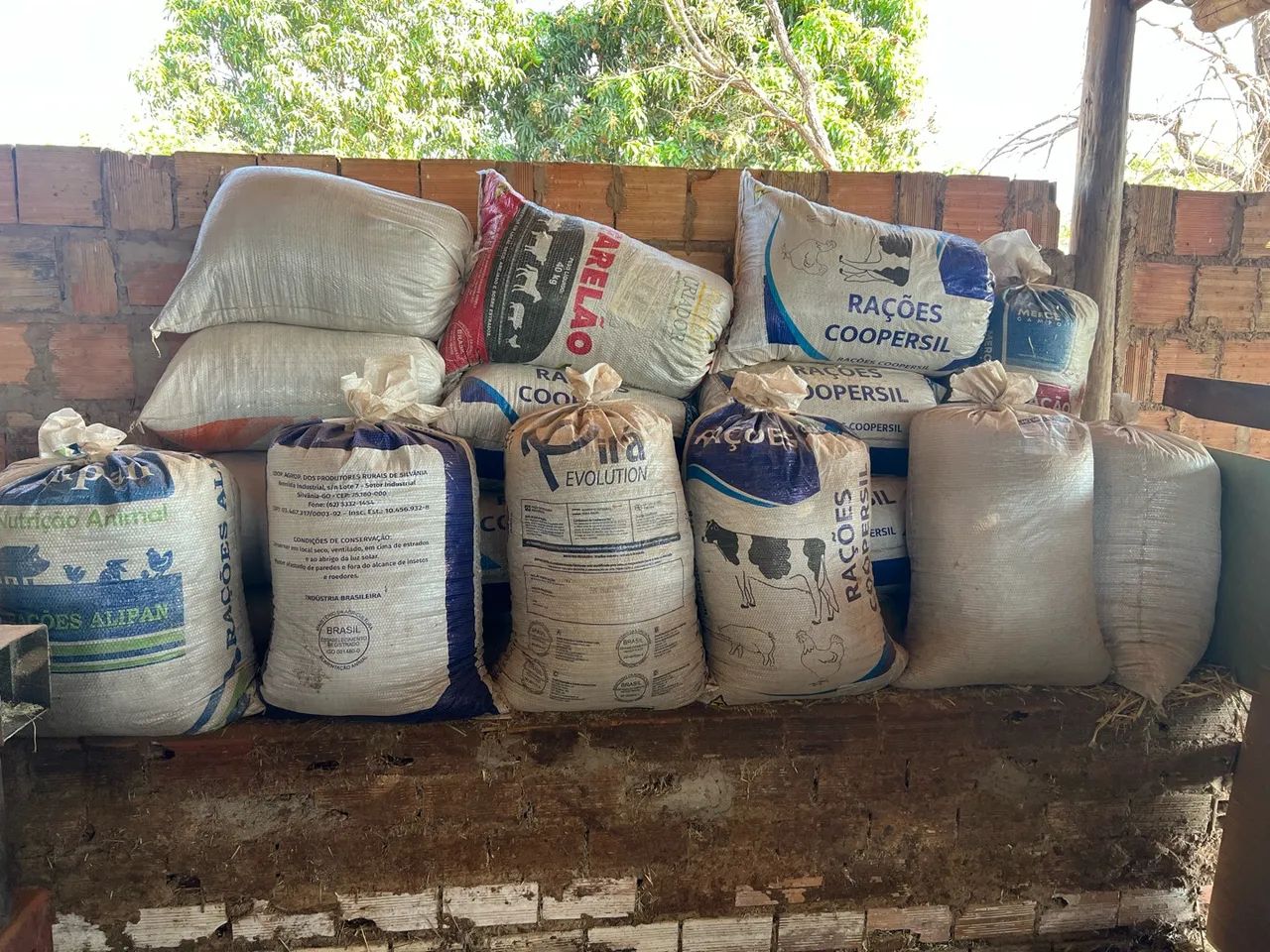 Adubo de gado