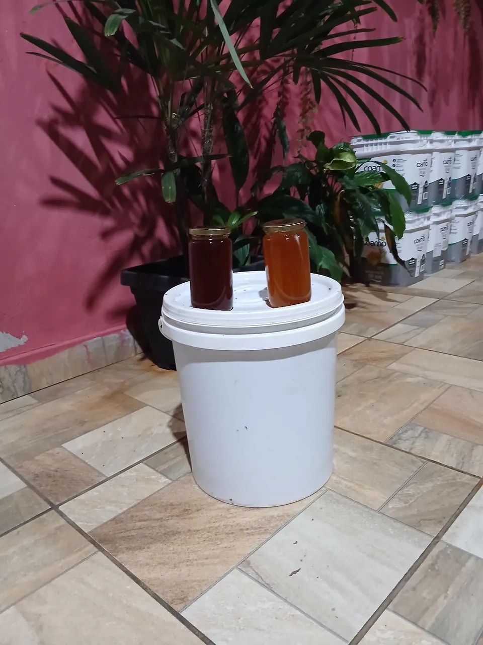 Mel puro no atacado balde 22kg - Foto 4