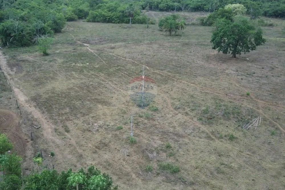 FAZENDA PARNAÍBA - Foto 2