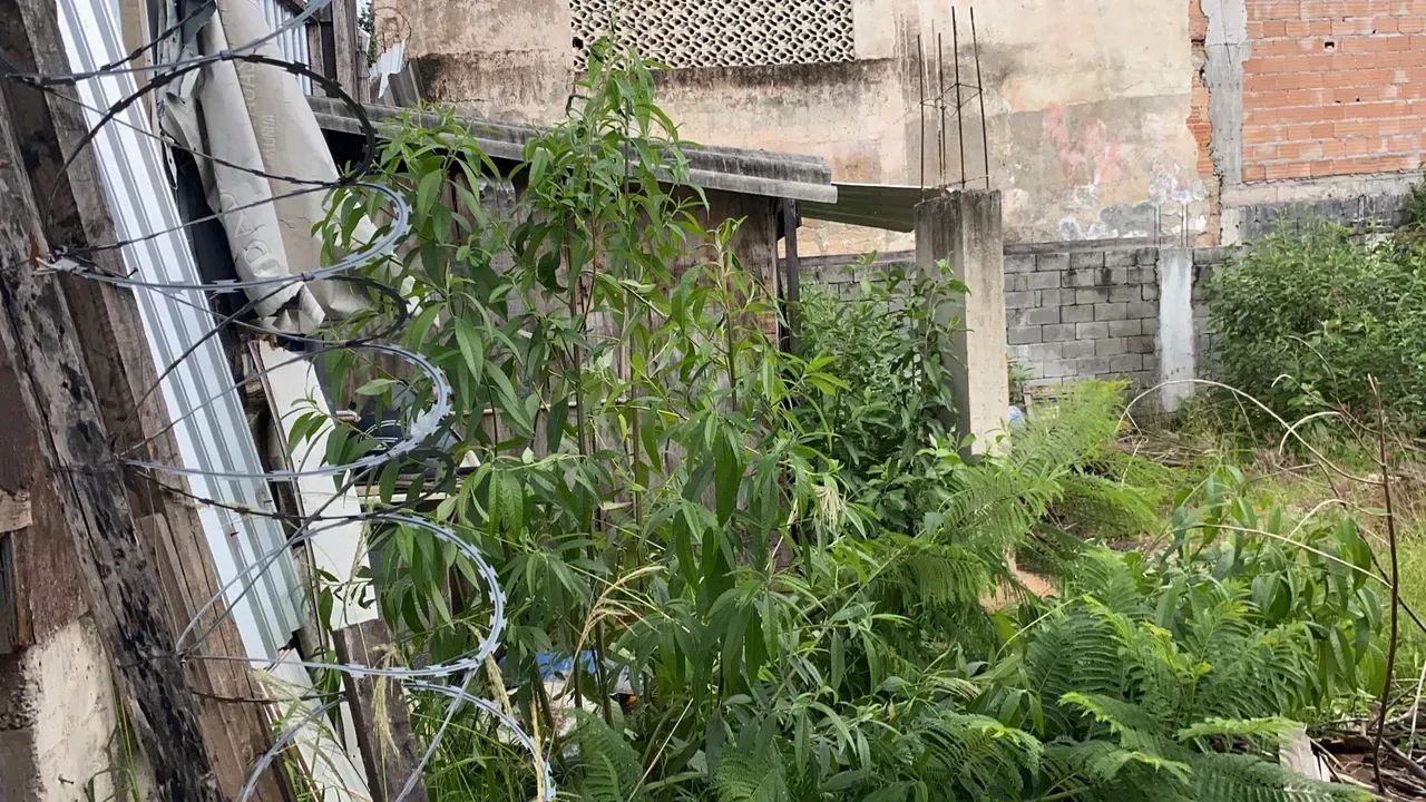 Lote bairro Itapuã - Foto 4