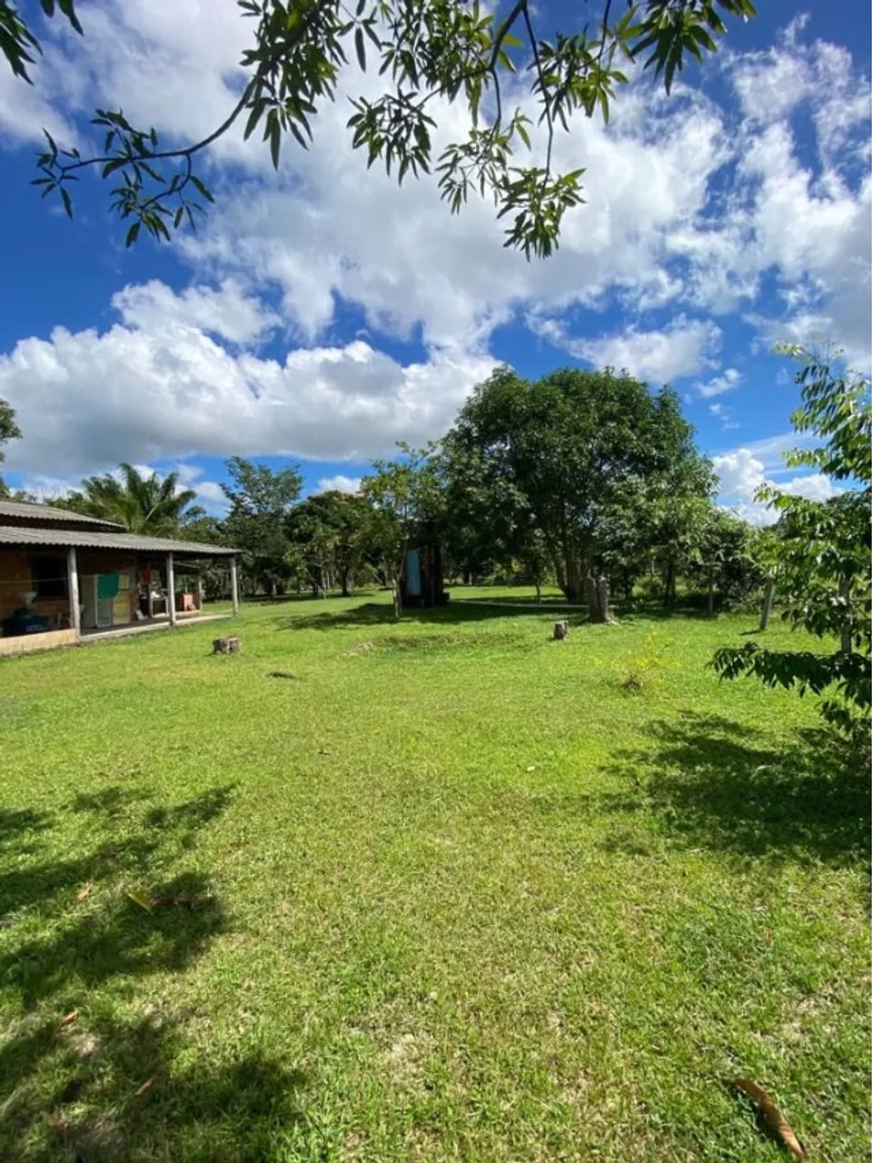 Vendo Chácara na Serra - Foto 5