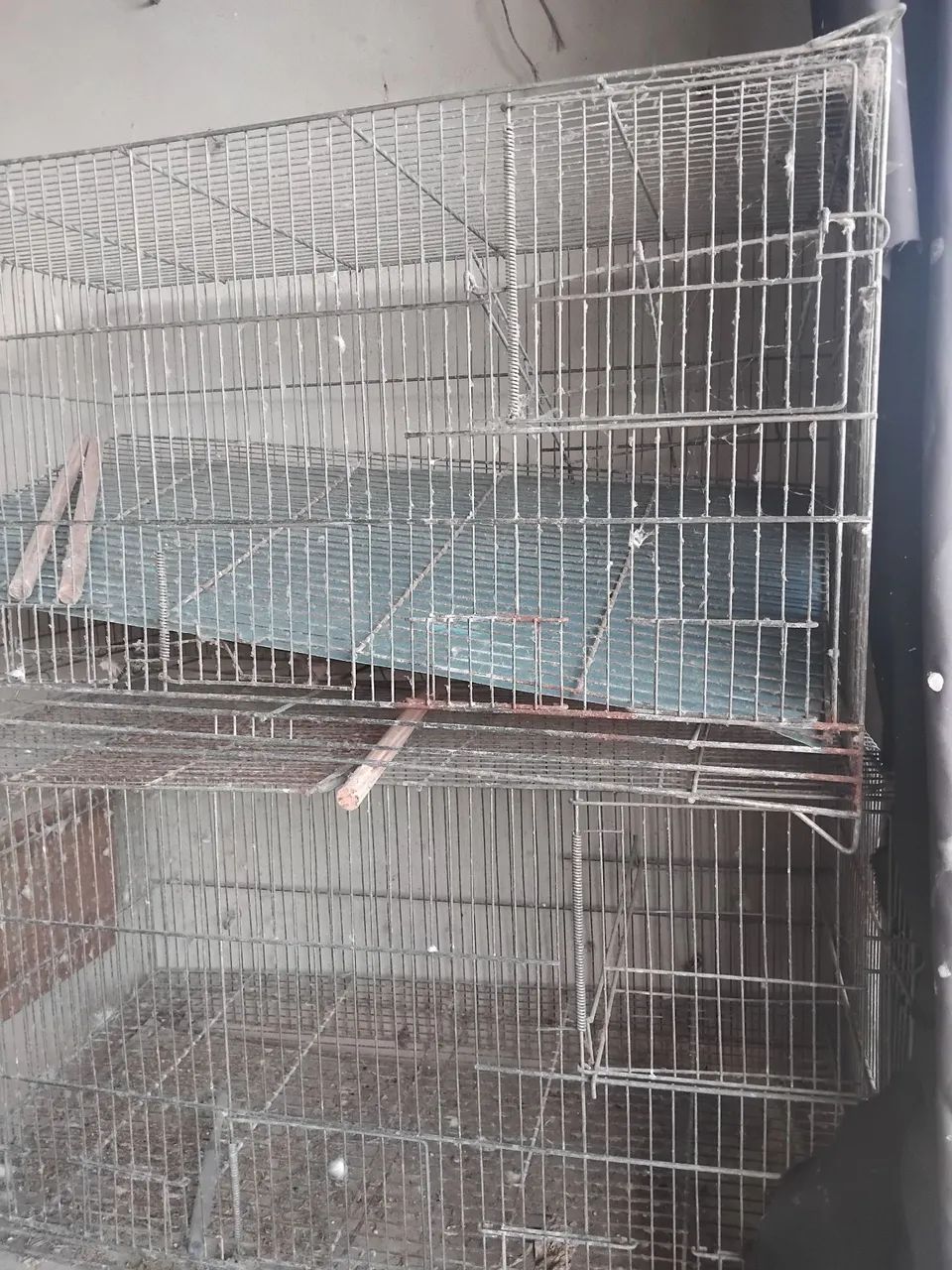 Gaiola para  reprodução de calopisita