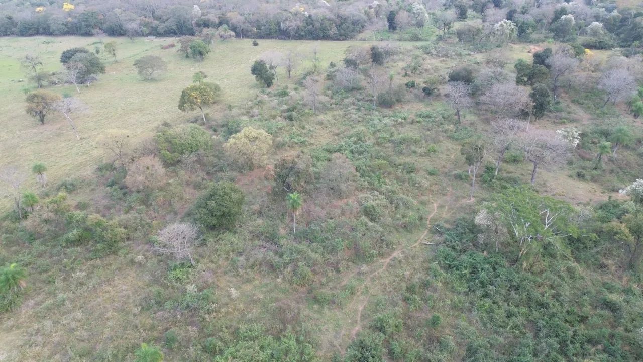 Vendo 8ha em Miranda - MS - Foto 4