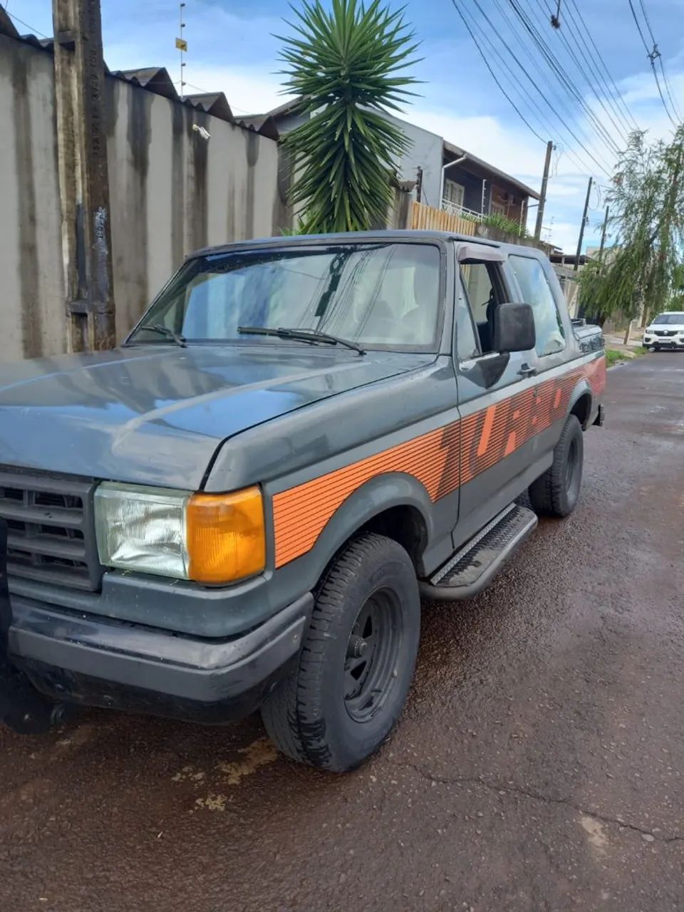 Ford F-1000 F-1000 S. S. Diesel / S.S. Diesel Turbo 1993