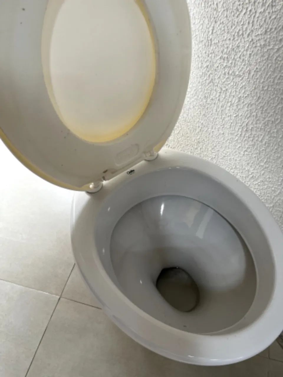 Vaso sanitário
