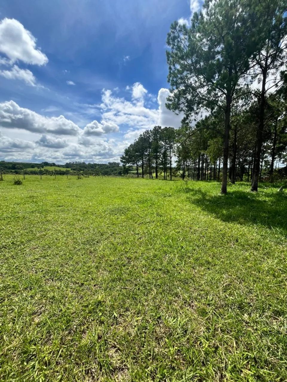 Foto - Limeira - Área Rural de Limeira