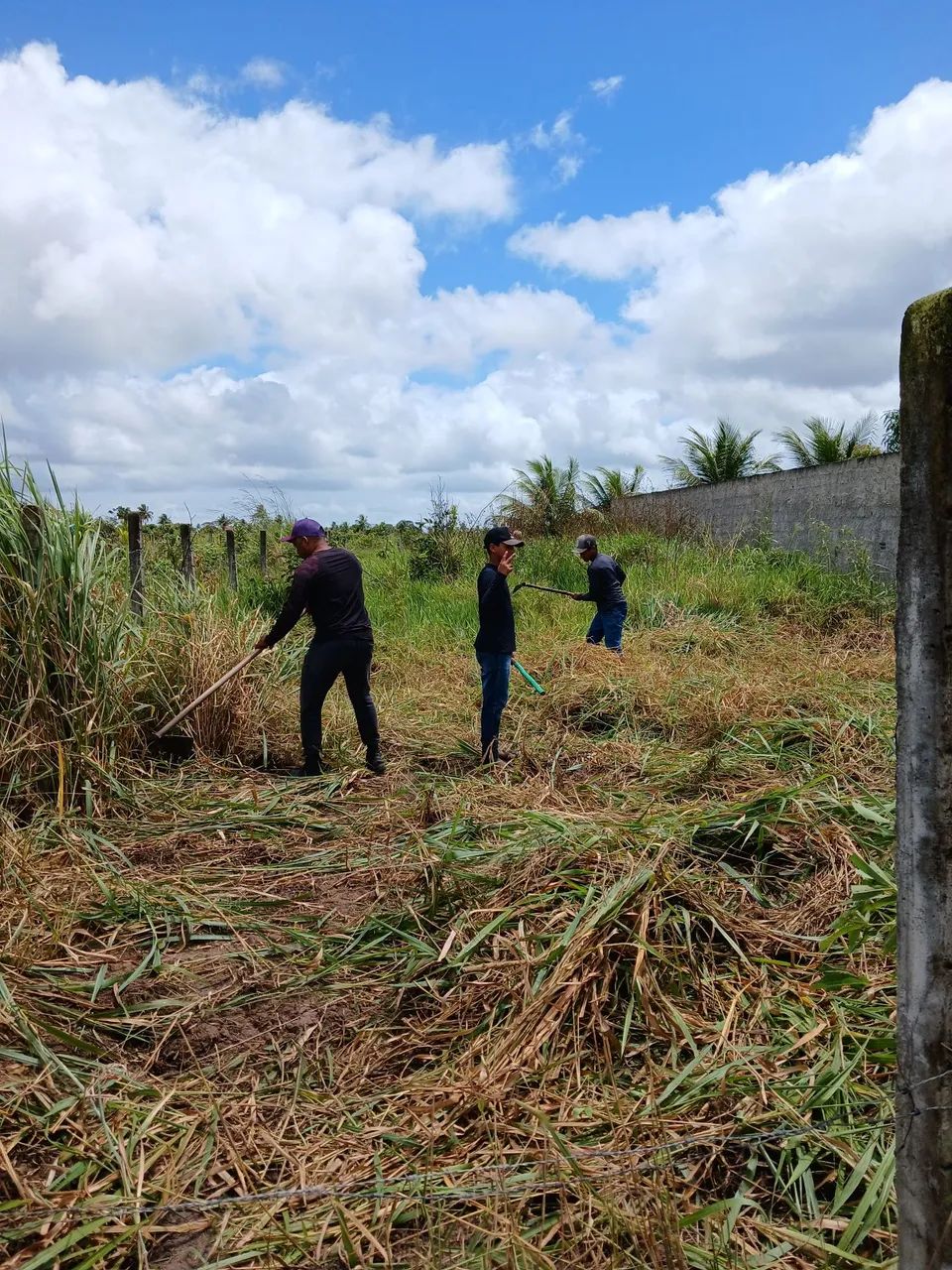 Terreno em Salgado  - Foto 3