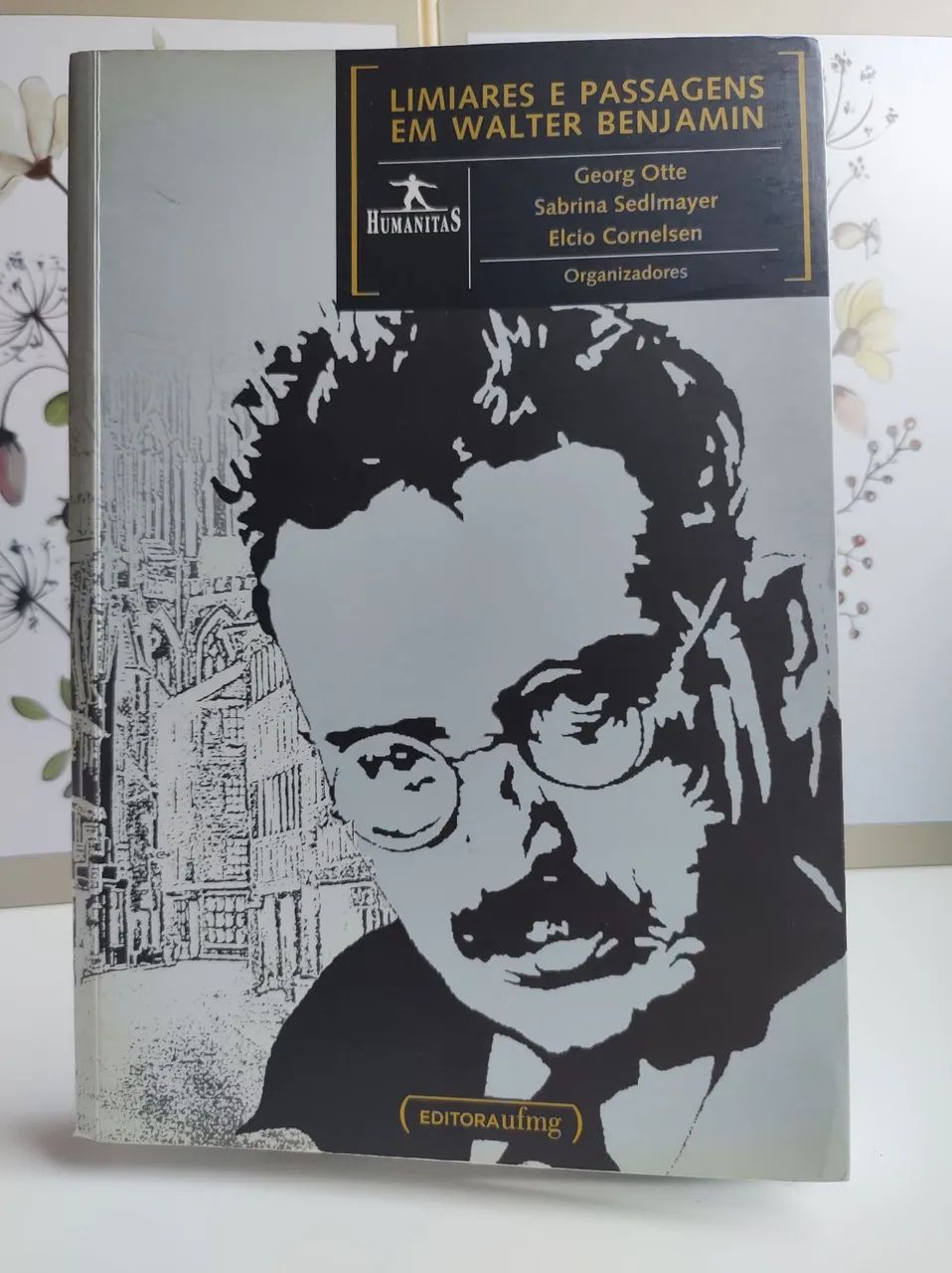 Limiares e passagens em Walter Benjamin 