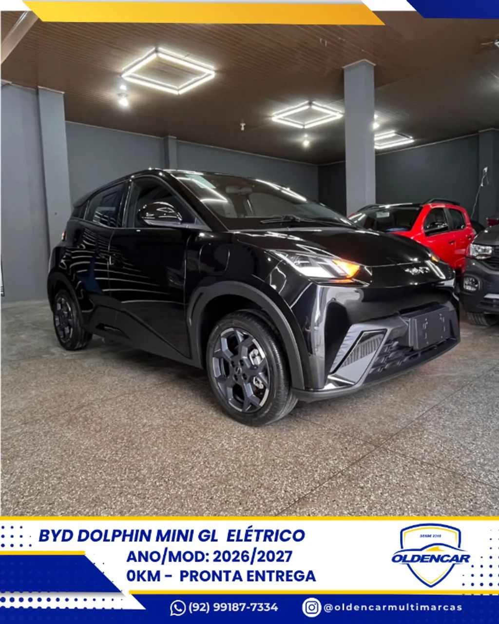 BYD Dolphin Mini (Elétrico) 2026