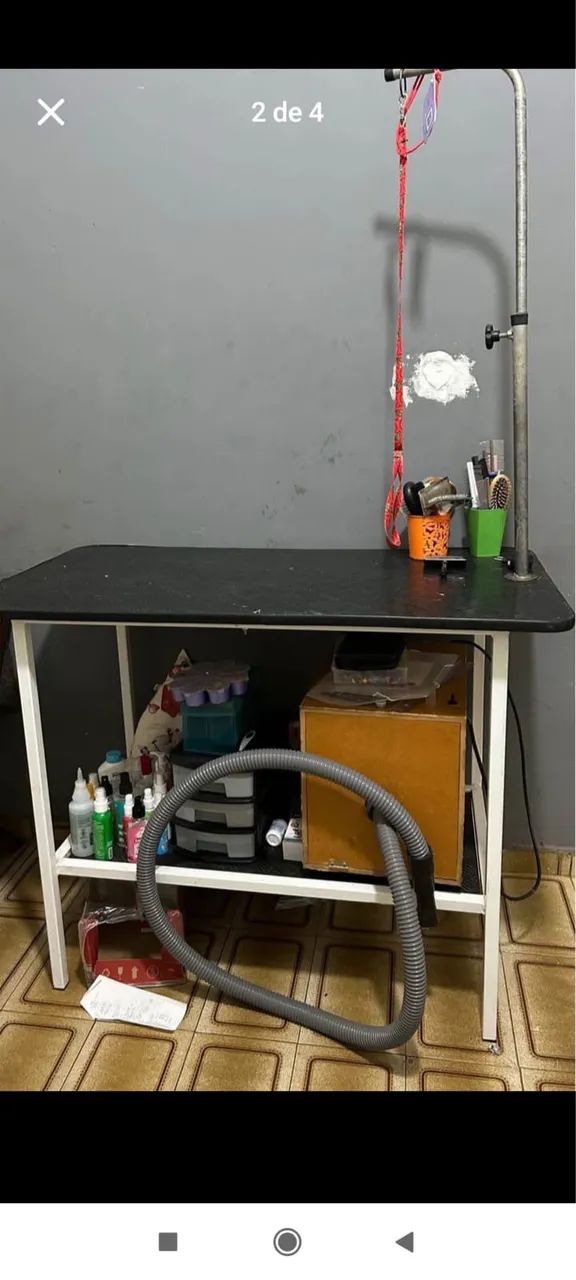 Banho e tosa  - Foto 3