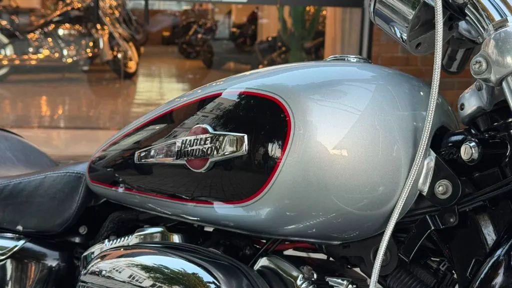 XL 1200 CUSTOM - Foto 4