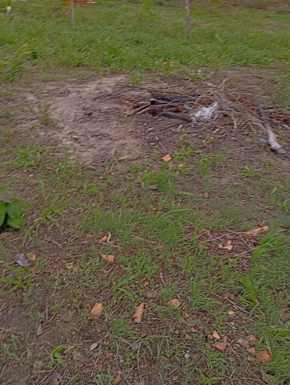 Terre bem localizado  - Foto 2