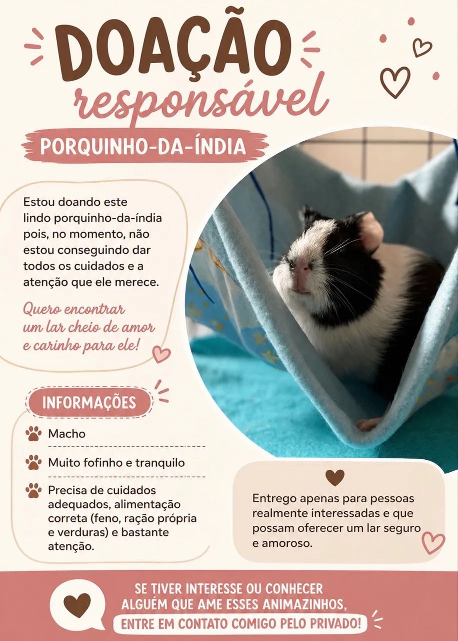 Adoção responsável 