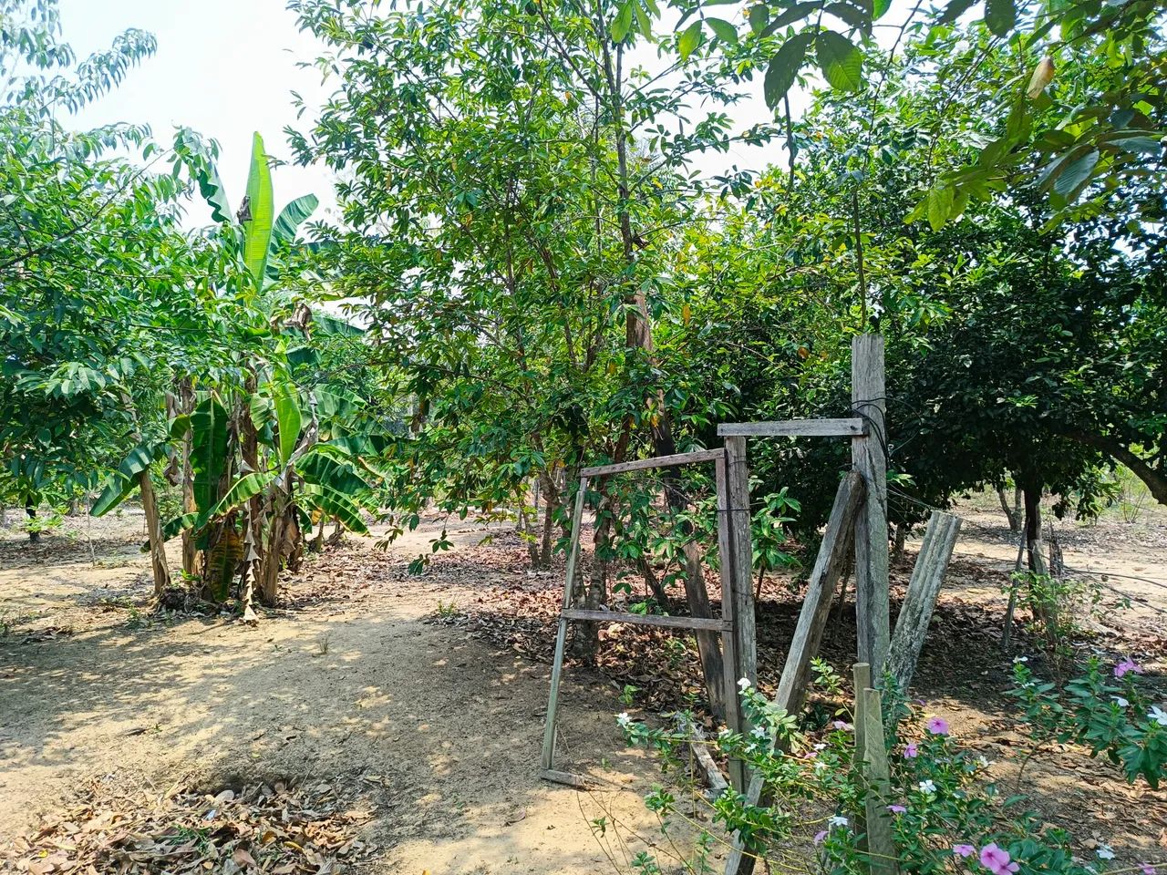Não  - Foto 4