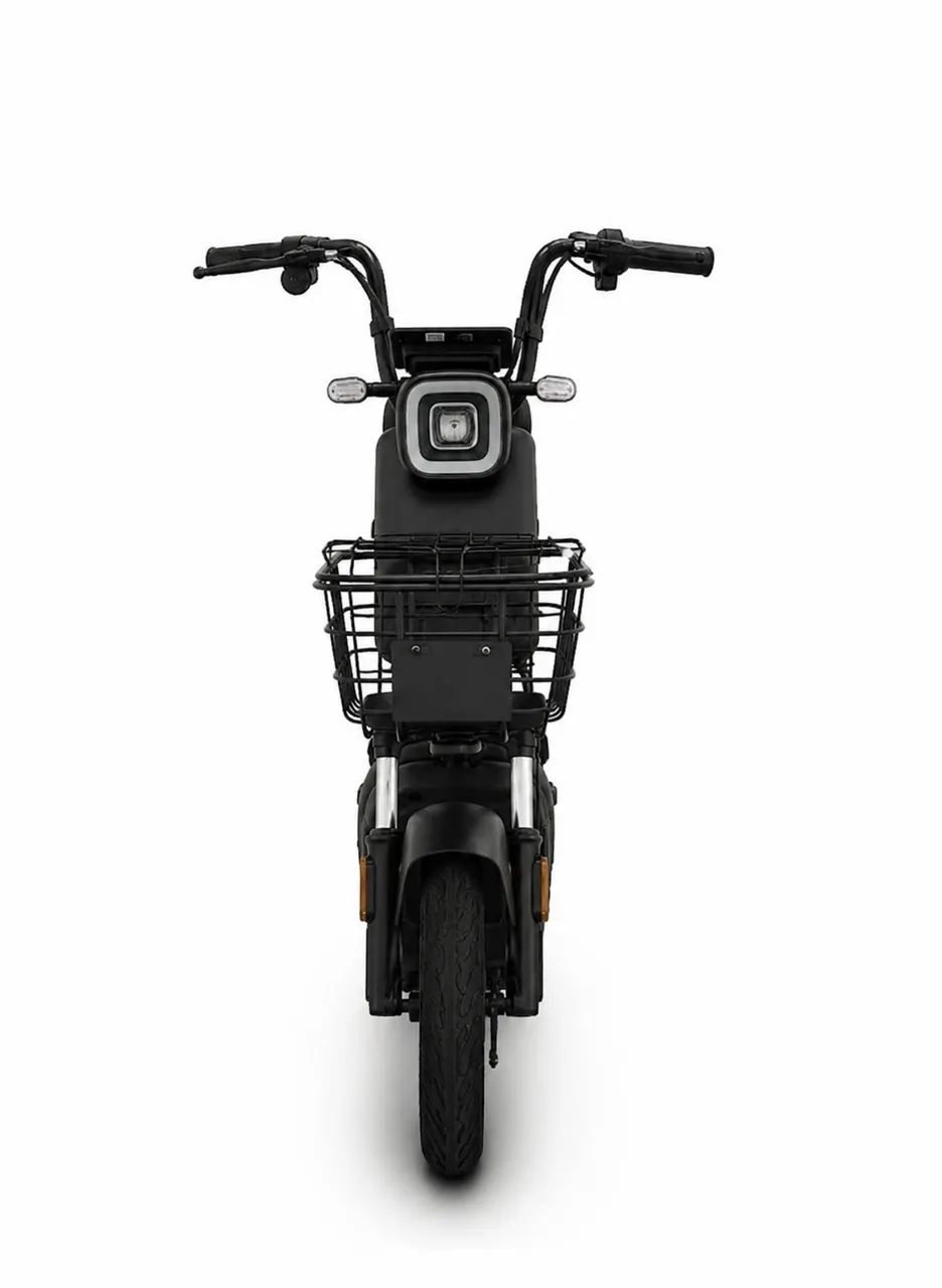 MOTO ELETRICA TAILG 500WTS - Foto 2
