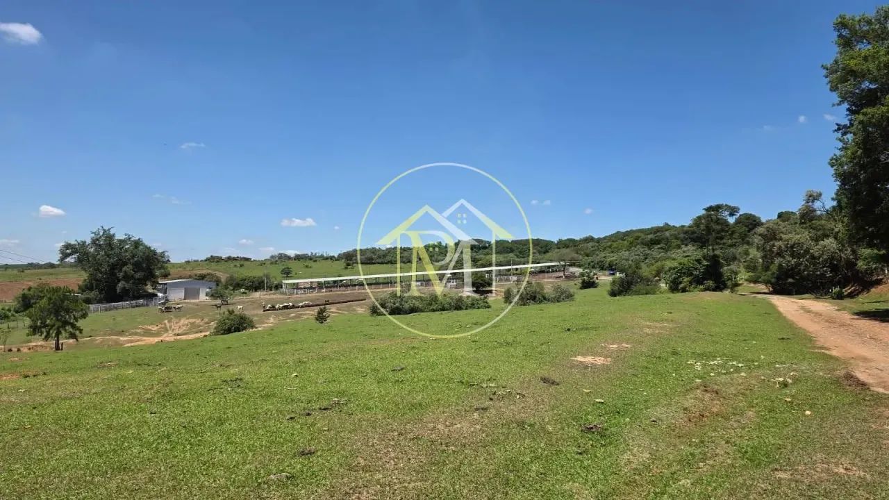 Sítio à venda, Rural, Cesário Lange, SP - Foto 3